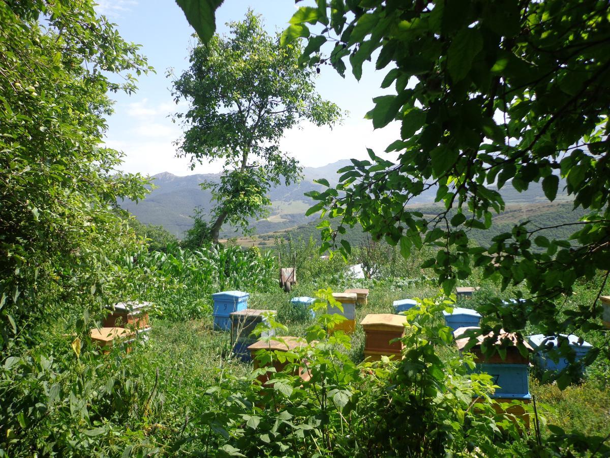 Anush'S B&B Tatev Extérieur photo