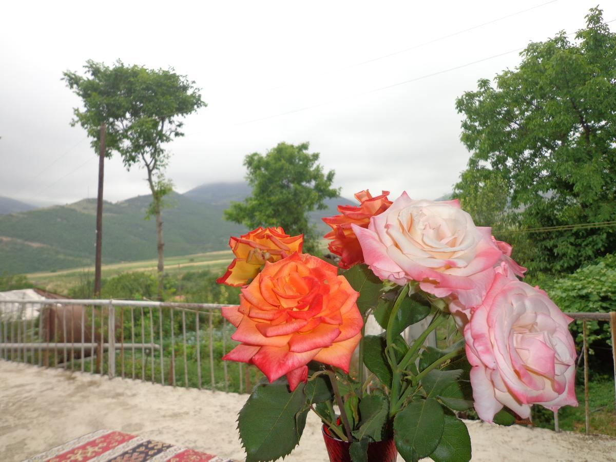 Anush'S B&B Tatev Extérieur photo